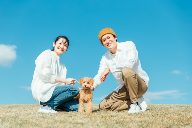 天気の良い土手で犬の散歩をするカップル